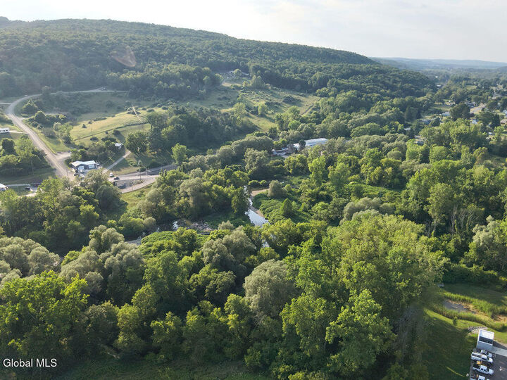 Property Photo: L29 County Route 65 NY 14843