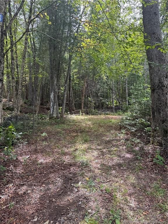 194 Upper Waweig Road — photo 1