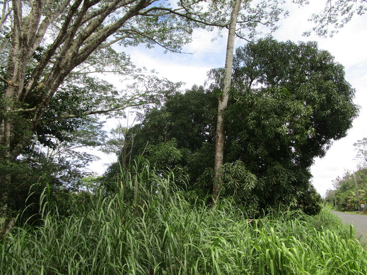 Property Photo: Makuu Dr HI 96749