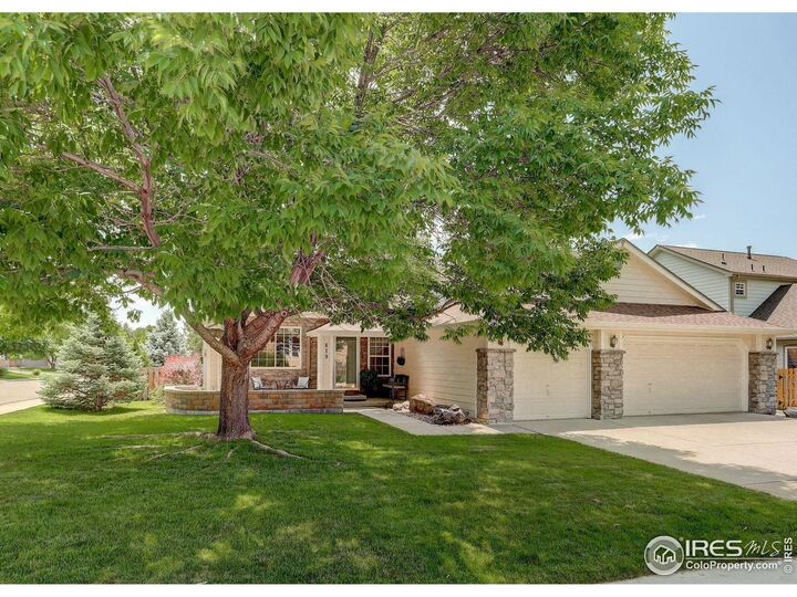 Property Photo:  619 Brookside Dr  CO 80504 