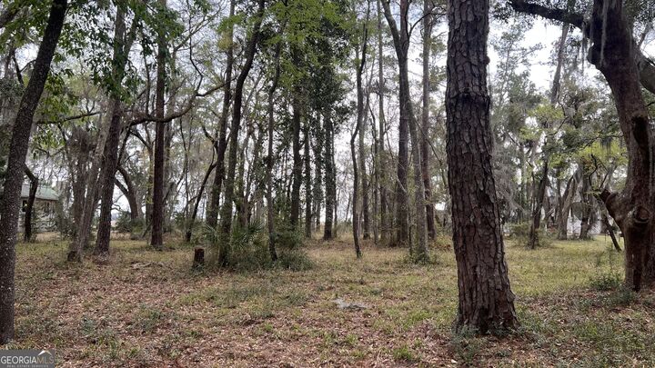Property Photo: Lot 28 E Black Island Road GA 31305