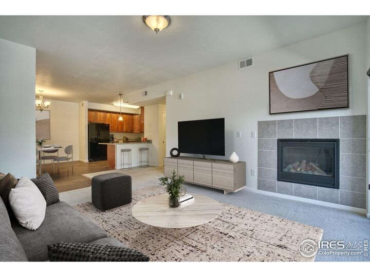 Property Photo:  804 Summer Hawk Dr 203  CO 80504 