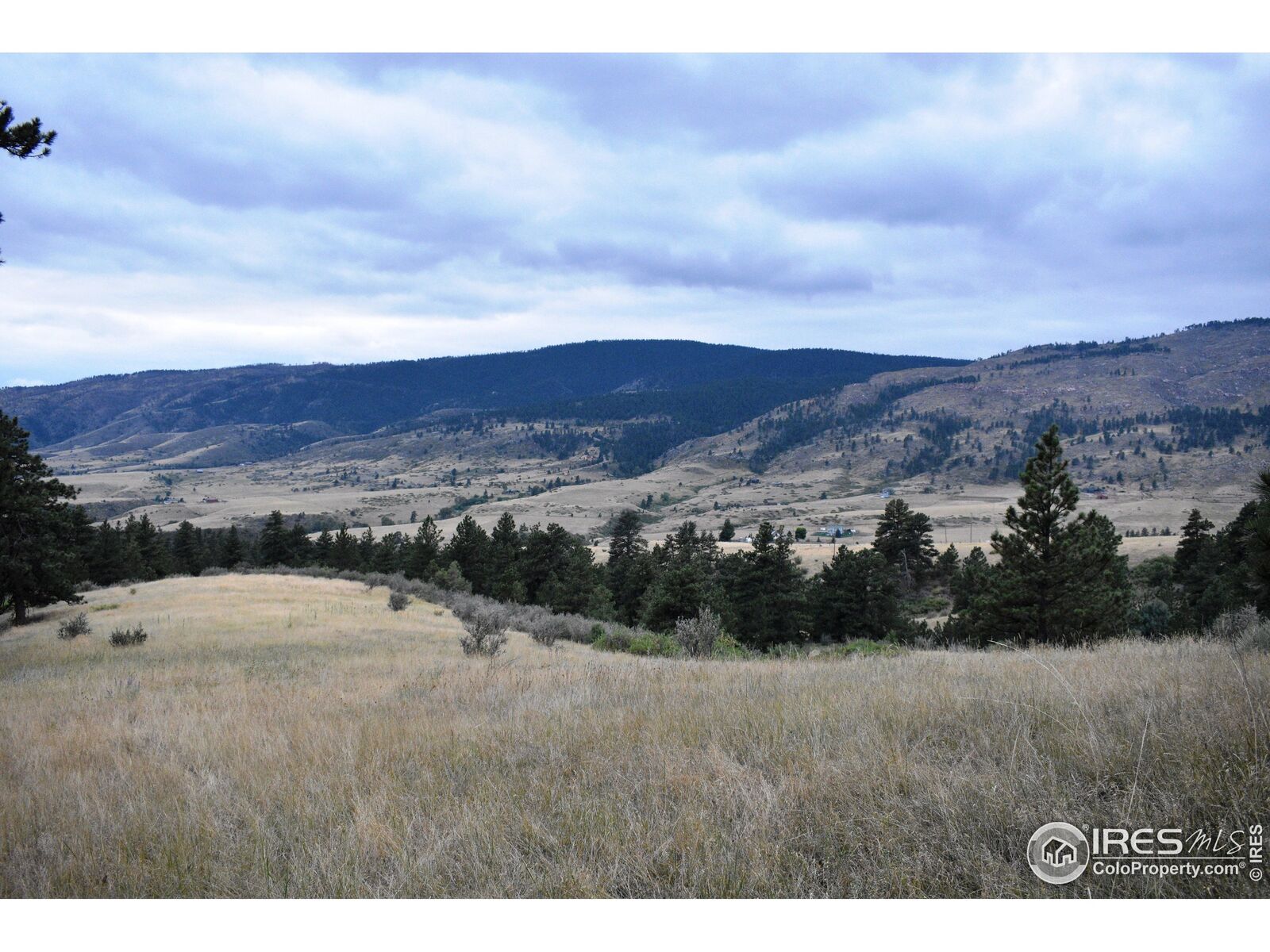 Property Photo:  17556 Red Canyon Ranch Rd  CO 80538 