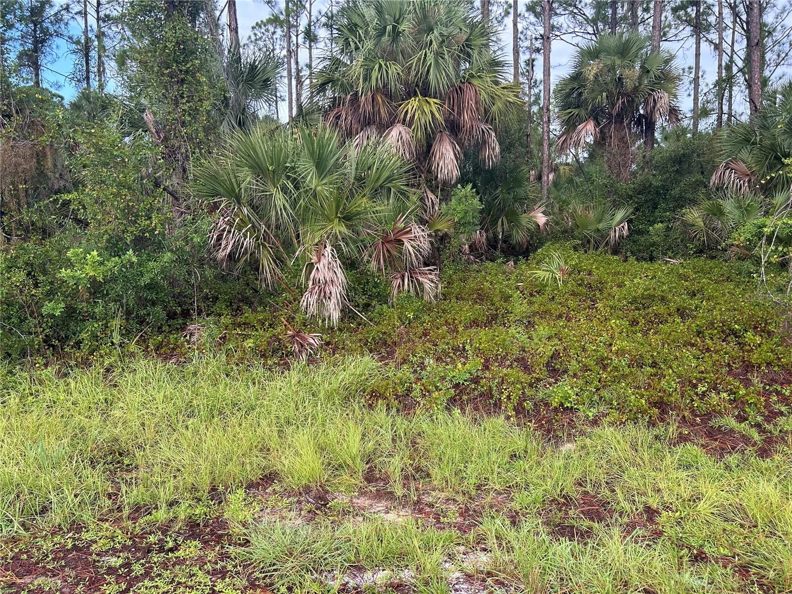 Property Photo: Dennis Street FL 34286