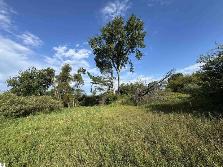 Property Photo: 2231 Tyler Hills Drive MI 49685