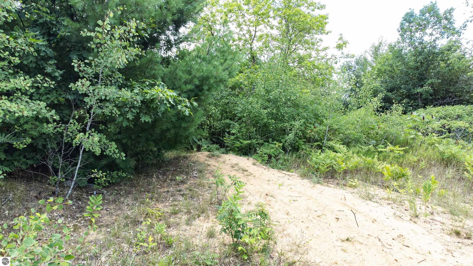 Property Photo: V/L Huston MI 49601