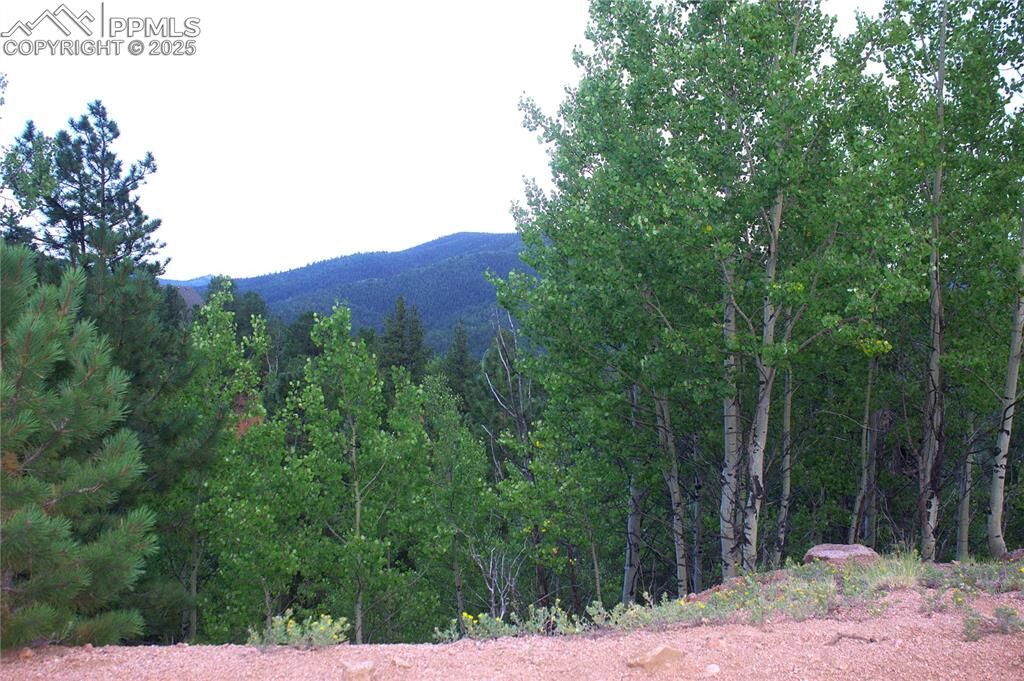 Property Photo:  490 Grosbeak Circle  CO 80814 