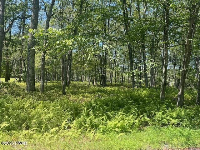 Property Photo: Lot 3810 Floyd Court PA 18337