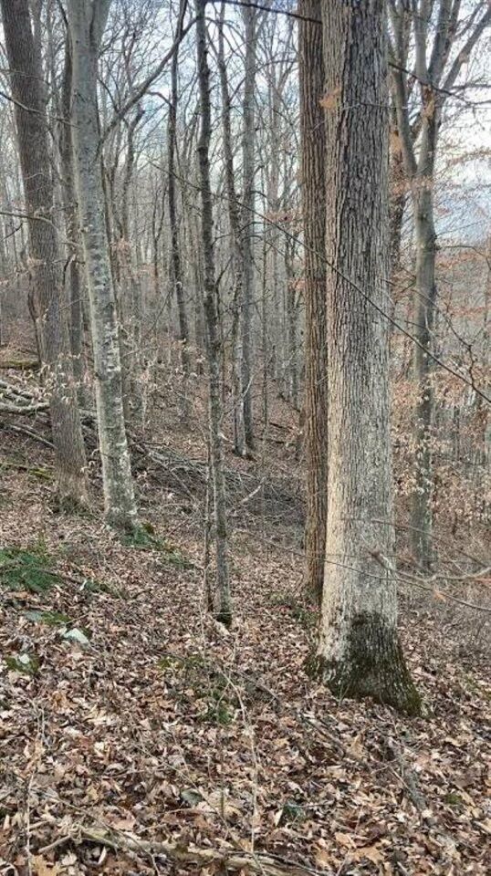 Property Photo:  0 Salt Lick Road  KY 42717 