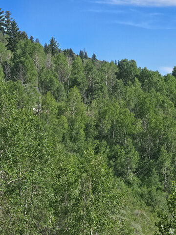 Property Photo: 6621 N Middle Fork Dr 89 UT 84317