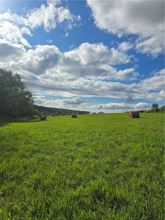 Property Photo:  Potter Road  NY 14855 