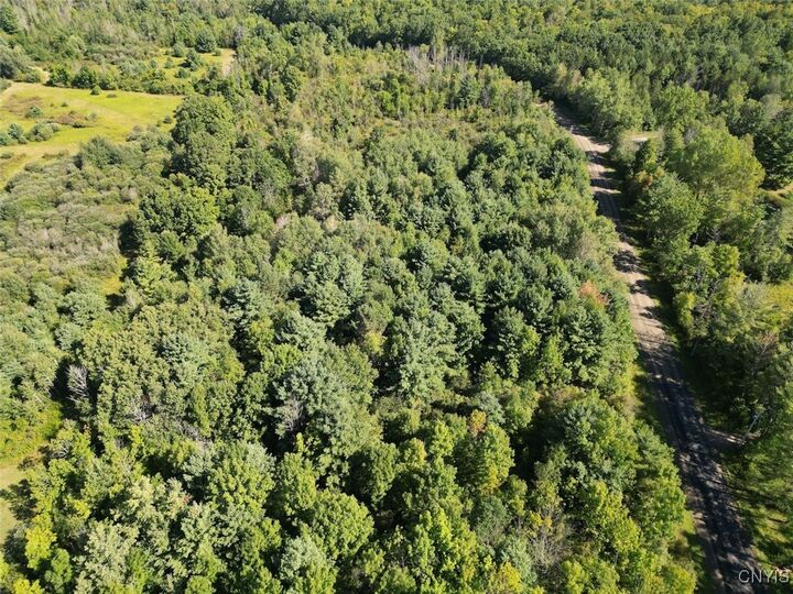 Wessie Road  Pulteney NY 14874 photo