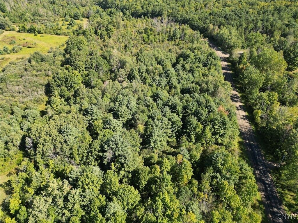 Property Photo:  Wessie Road  NY 14874 