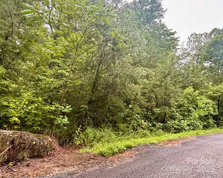 Property Photo: 000 High Road Court 4 NC 28746