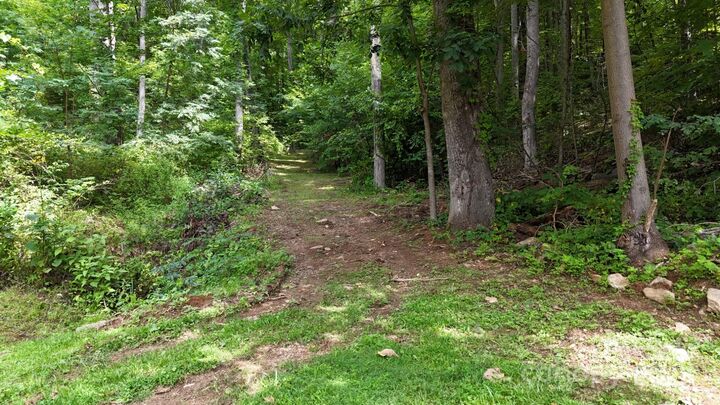 Property Photo: Lot 12 Roselyn Park Drive NC 28751