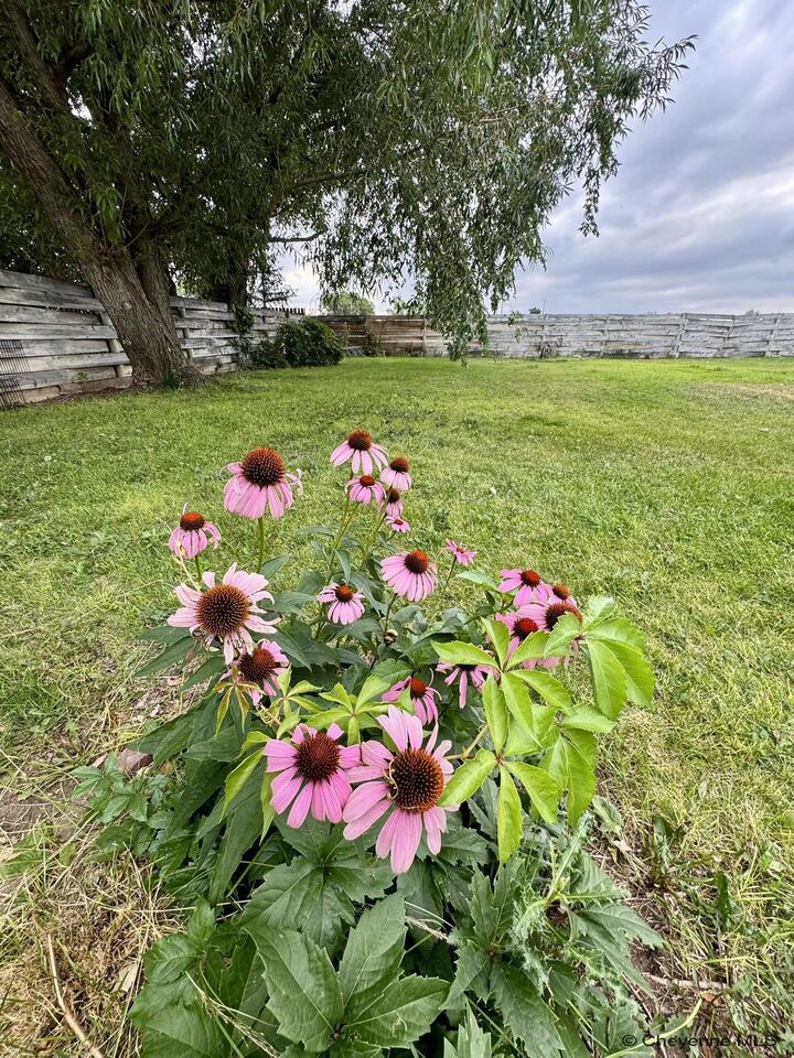 Property Photo:  1103 22nd St  WY 82201 