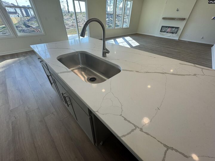 Property Photo:  555 Griffon  SC 29036 