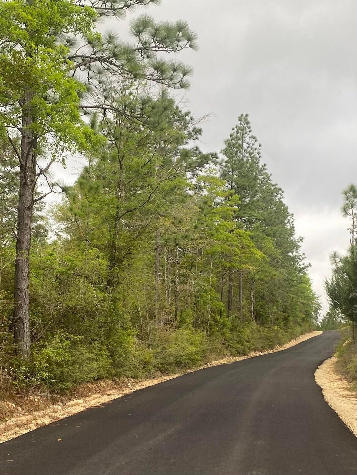 Property Photo: 16 Acres Sherman Kennedy Rd FL 32531