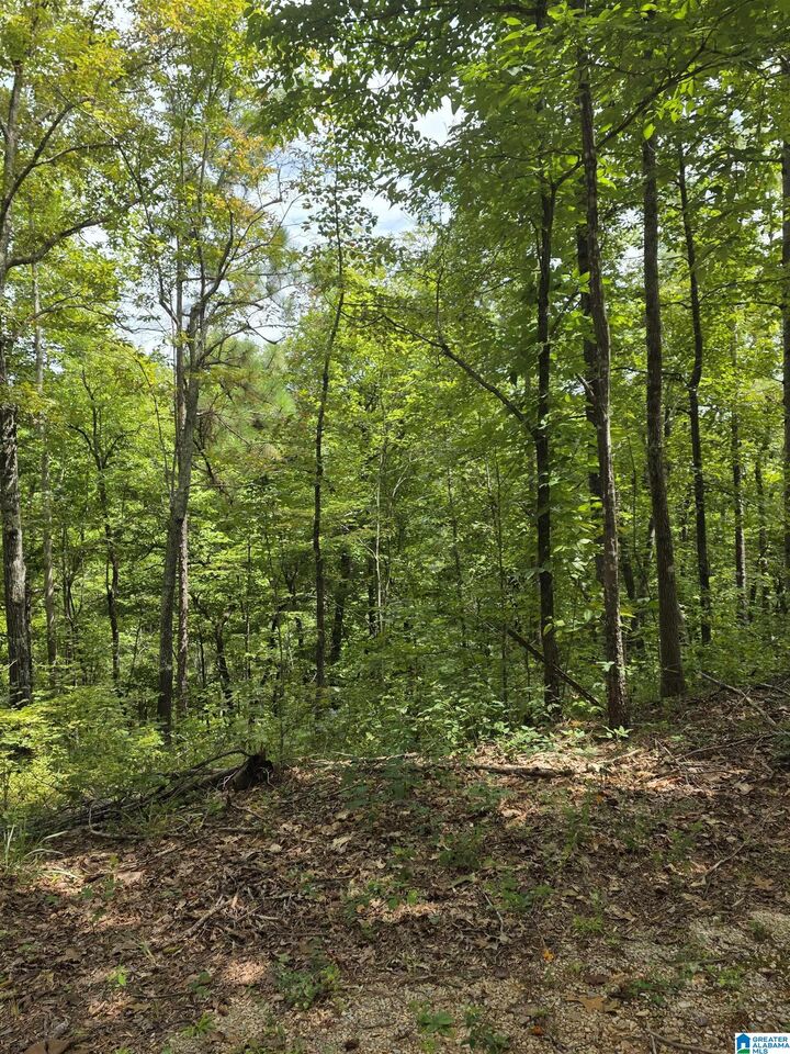 Property Photo: 3004 Rocky Mount Church Road AL 35160