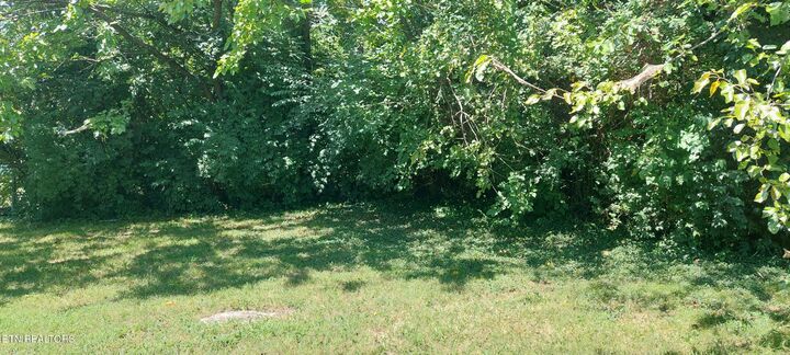 Property Photo:  1833 Woodbine Ave  TN 37917 