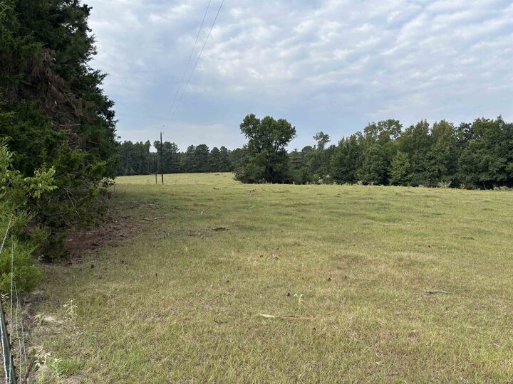 Property Photo:  Tbd County Road 165  TX 75669 