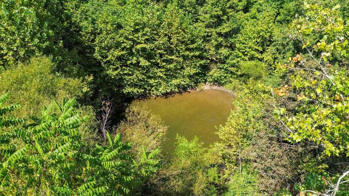 Property Photo: 9701 Saloma Road KY 42718