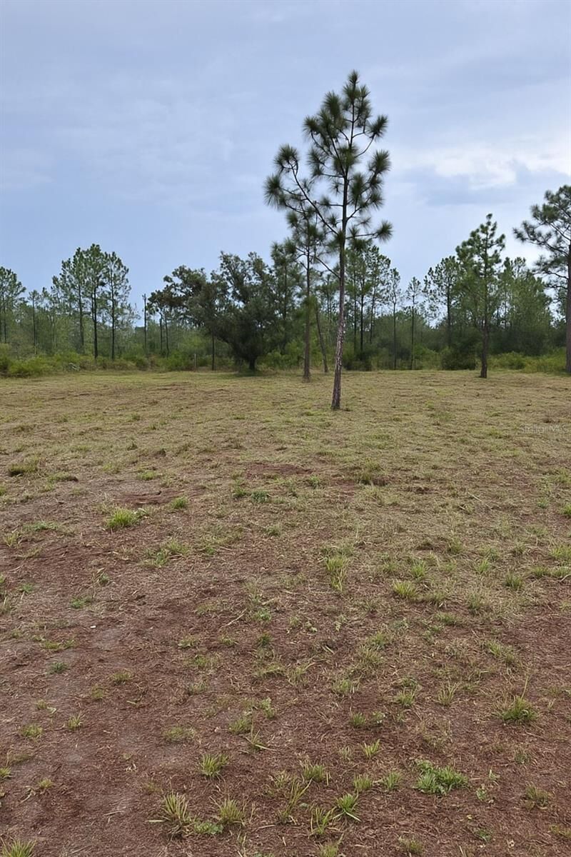 Property Photo: 1108 Palm Avenue FL 33855