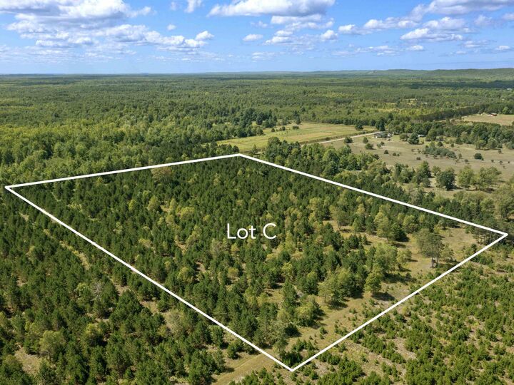 Property Photo: 15 Acres Wallin Road MI 49683