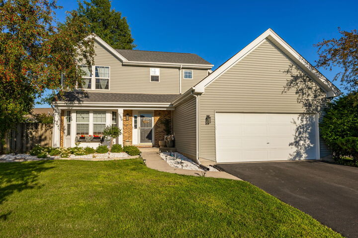 Property Photo:  500 Half Moon Court  IL 60543 