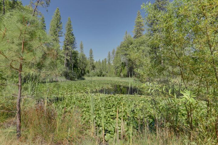 Property Photo: 14205 Windwhistle Way CA 95949