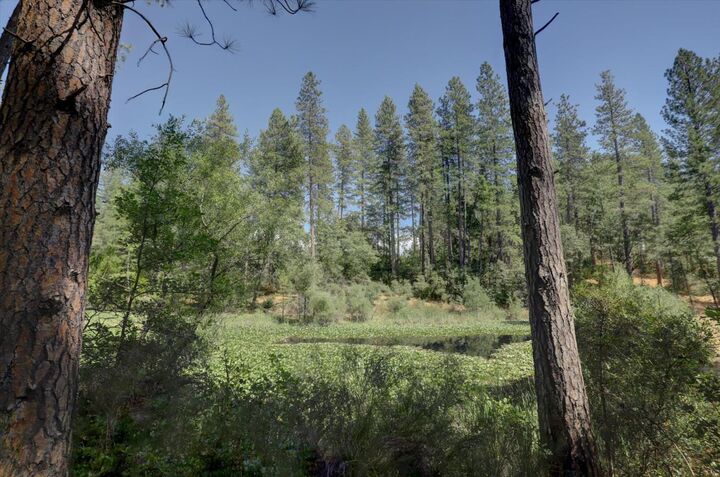 Property Photo: 14205 Windwhistle Way CA 95949