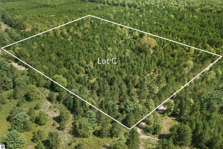 Property Photo: 15 Acres Wallin Road C MI 49683