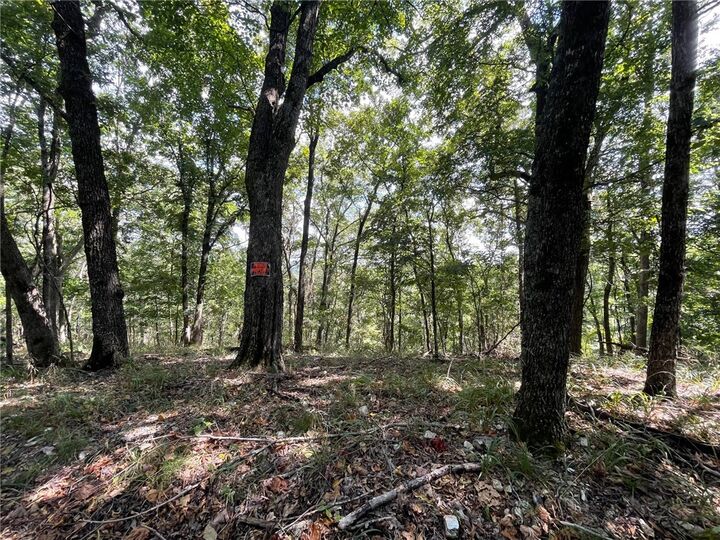 Property Photo: Cr-206 AR 72632