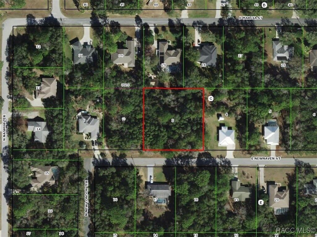 Property Photo: 2039 E Newhaven Street FL 34453