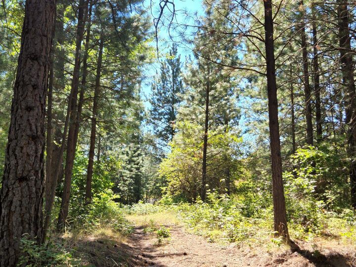 Property Photo: 4004 Northport Flat Creek Rd WA 99157