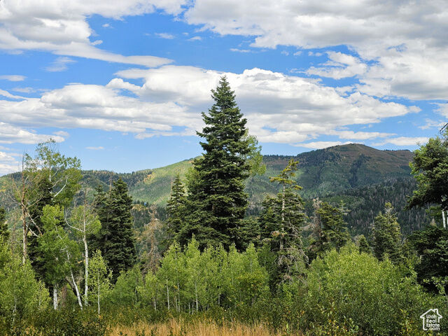 Property Photo: 33 Pine Ridge Estates Dr 33 UT 84647