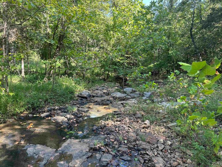 Property Photo: 0 63 Highway AR 72542