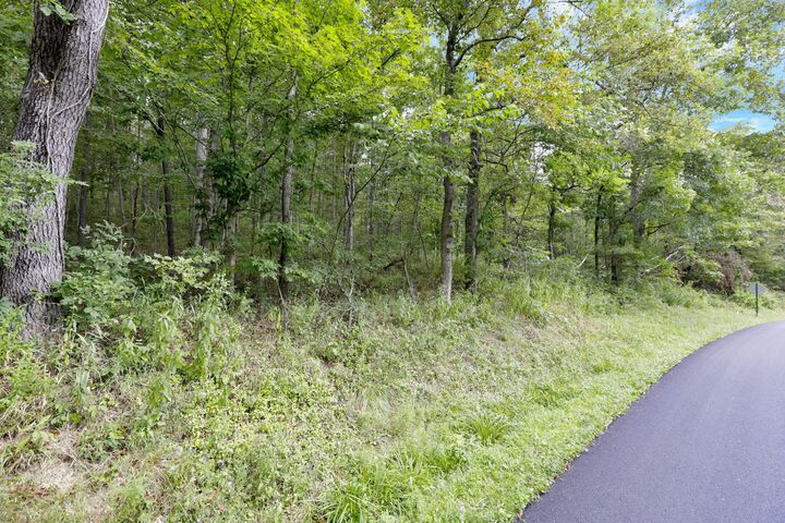 Property Photo: 0 Clay Lick Road OH 43138