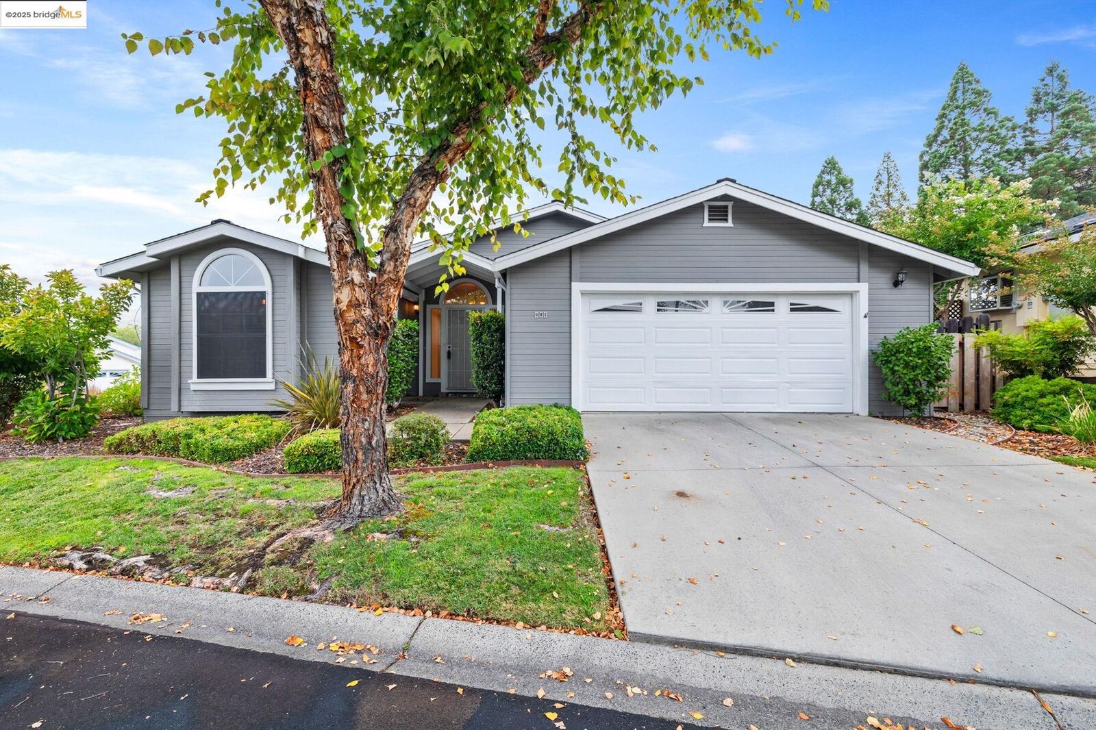 Property Photo:  19560 River Birch Ct #1  CA 95370 