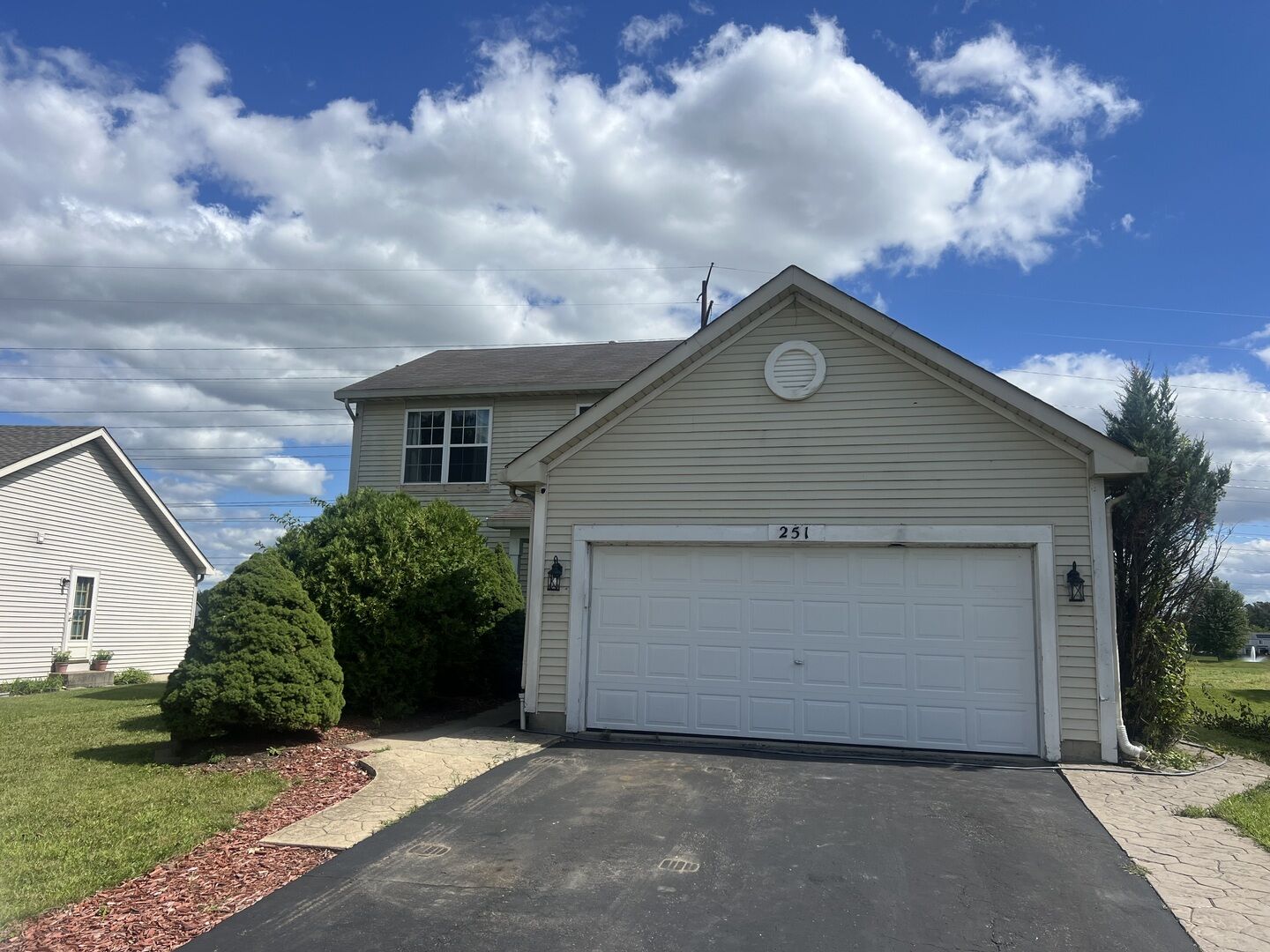 Property Photo:  251 Summerfield Drive  IL 60446 