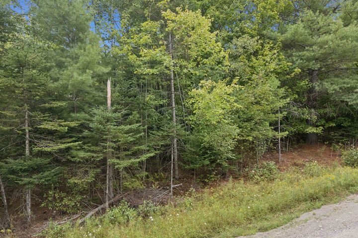Property Photo: Lot 42 Grand View Road ME 04971