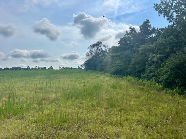 Property Photo:  Tbd Tx 7  TX 75833 