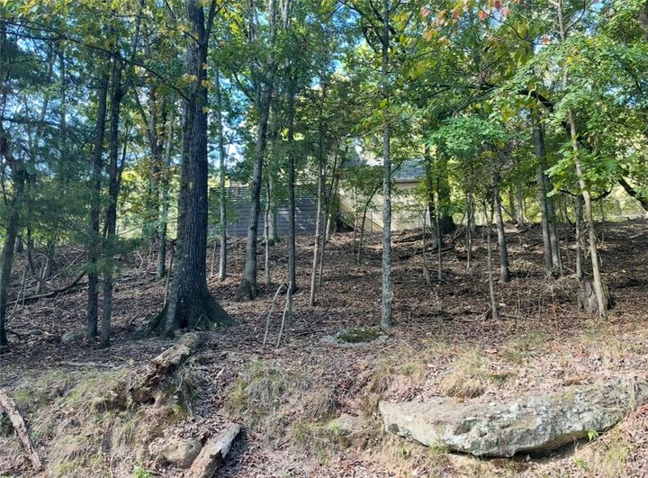 Cedar Drive  Garfield AR 72732 photo