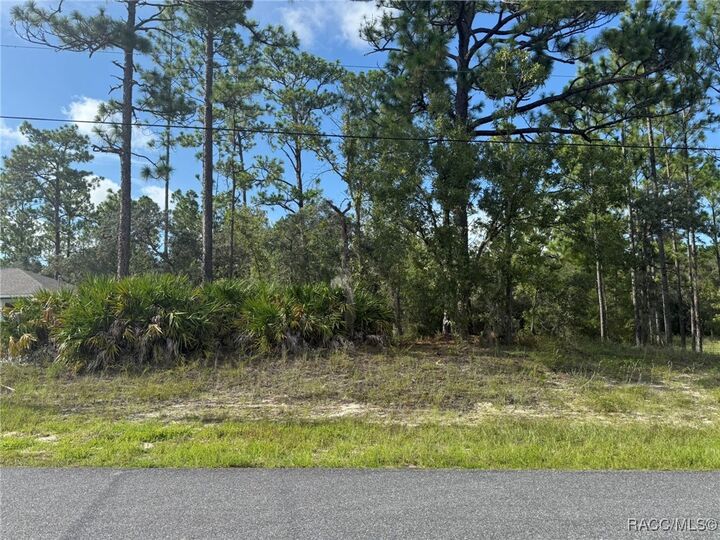 Property Photo: 339 W Goldcoast Place FL 34434