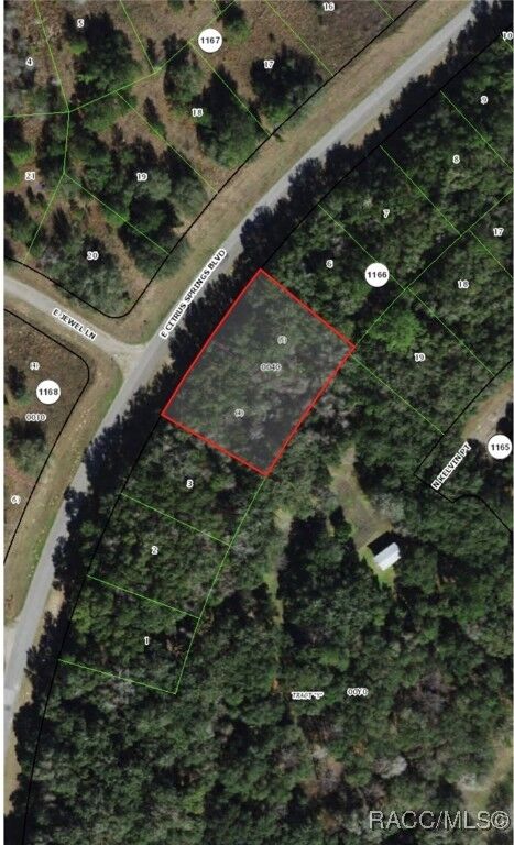 Property Photo: 526 E Citrus Springs Boulevard FL 34434