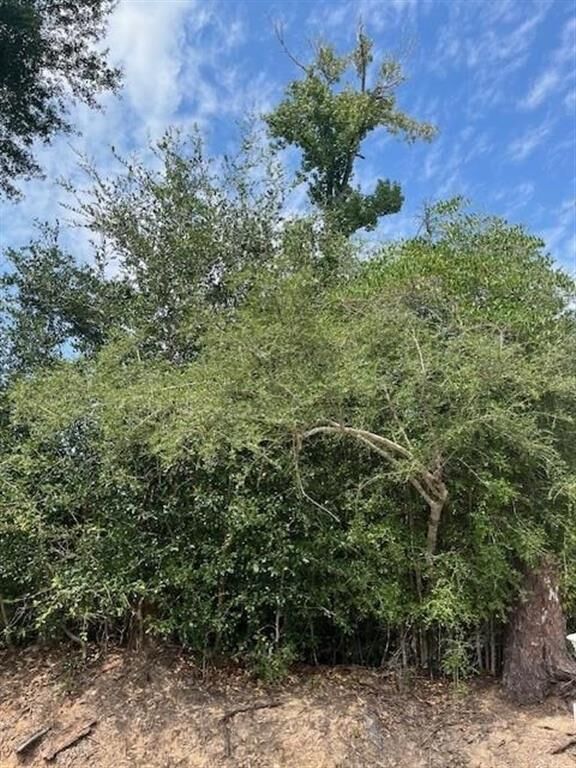 Property Photo:  0 Ledoux Road  LA 70647 