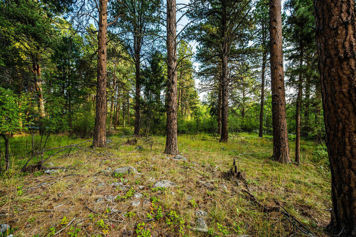 Property Photo:  2.76 Ac Ponderosa Drive  WY 82842 