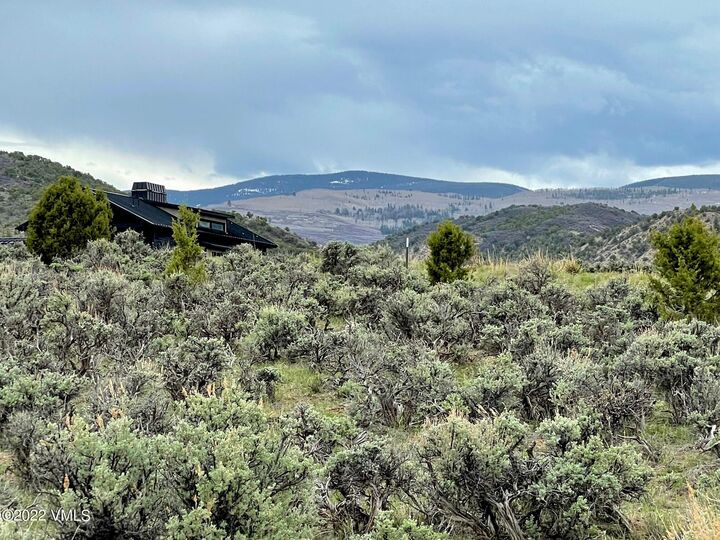 Property Photo: 38 Prospect Peak Road CO 81631