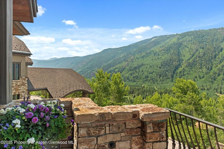 663 Mountain Laurel Drive  Aspen CO 81611 photo