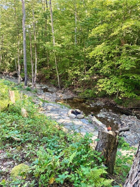 Property Photo: 9894 Mountain Road NY 14840
